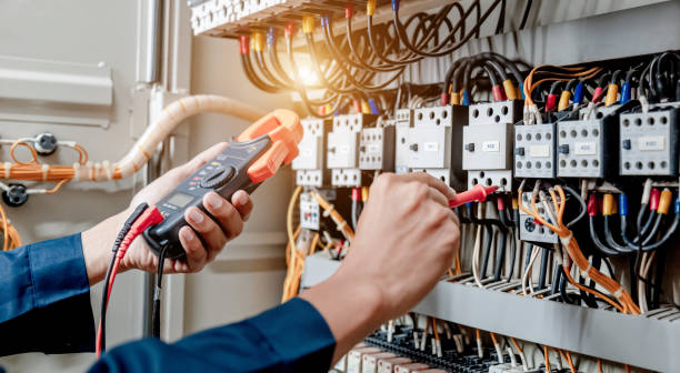 Best Electric Panel Repair  in Niles, OH