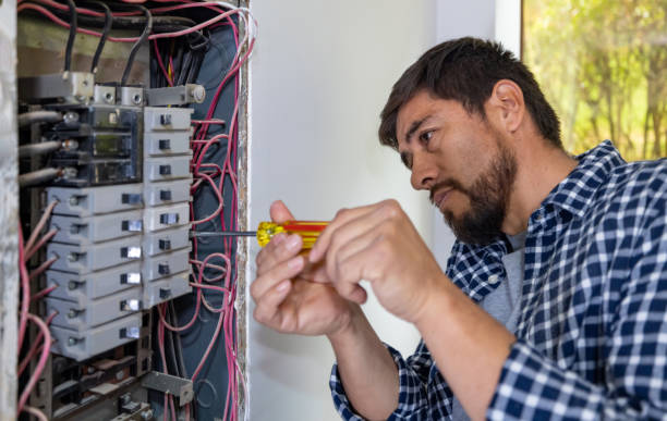 Best Electrical Troubleshooting Services  in Niles, OH